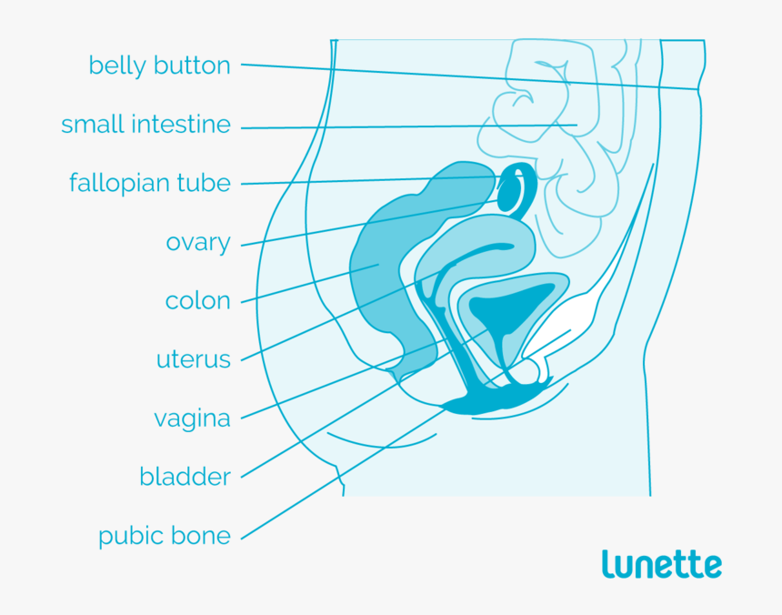 Clip Art A Handy Guide To - Graphic Design, HD Png Download