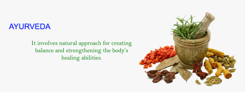 Herbal Png, Transparent Png