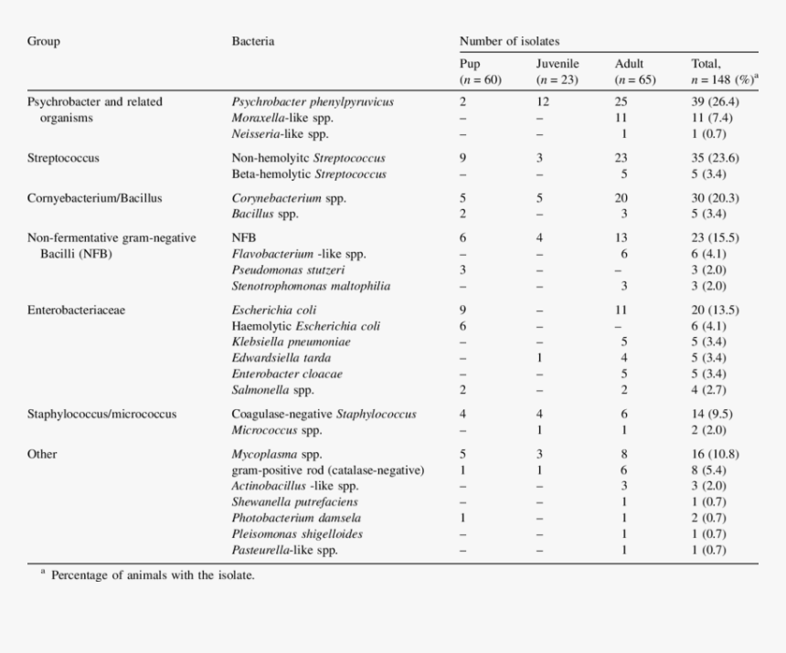 Document, HD Png Download