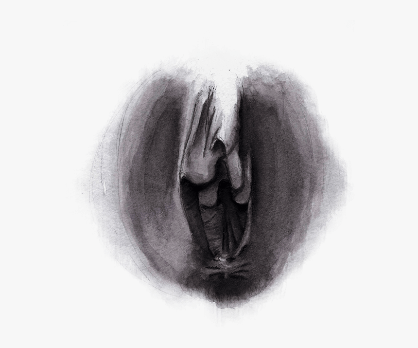 Sketch, HD Png Download