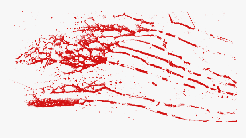 The Bloodied Vagina - Blood Splatter Png, Transparent Png