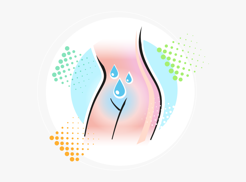Vulva Hygiene, HD Png Download