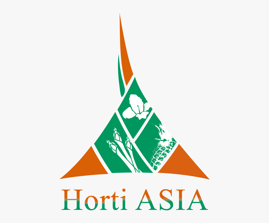 Asia Png, Transparent Png