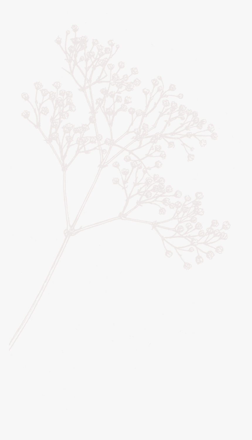 Sketch, HD Png Download