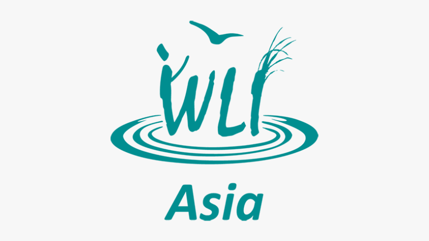 Wetland Link International, HD Png Download