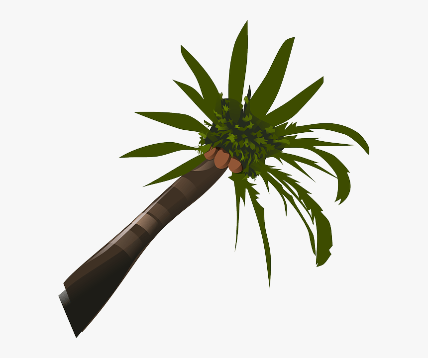 Palm Tree Clip Art, HD Png Download