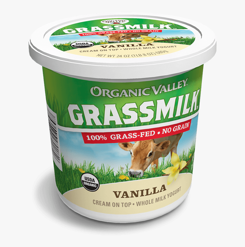 Rat, HD Png Download