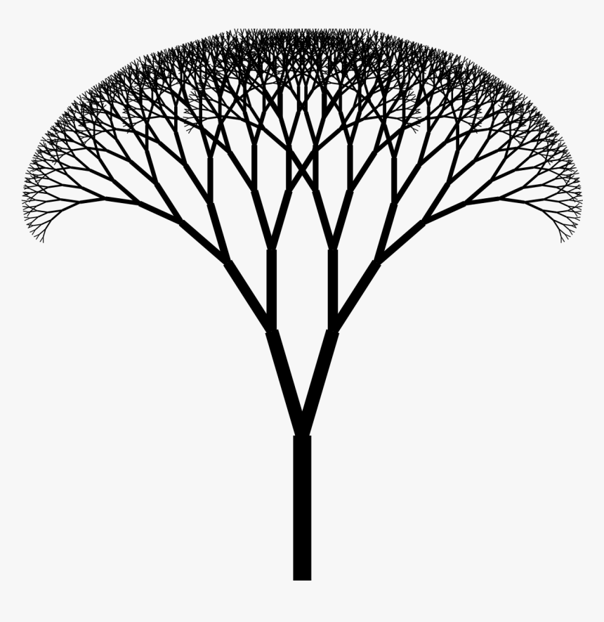 Fractal Tree Png, Transparent Png