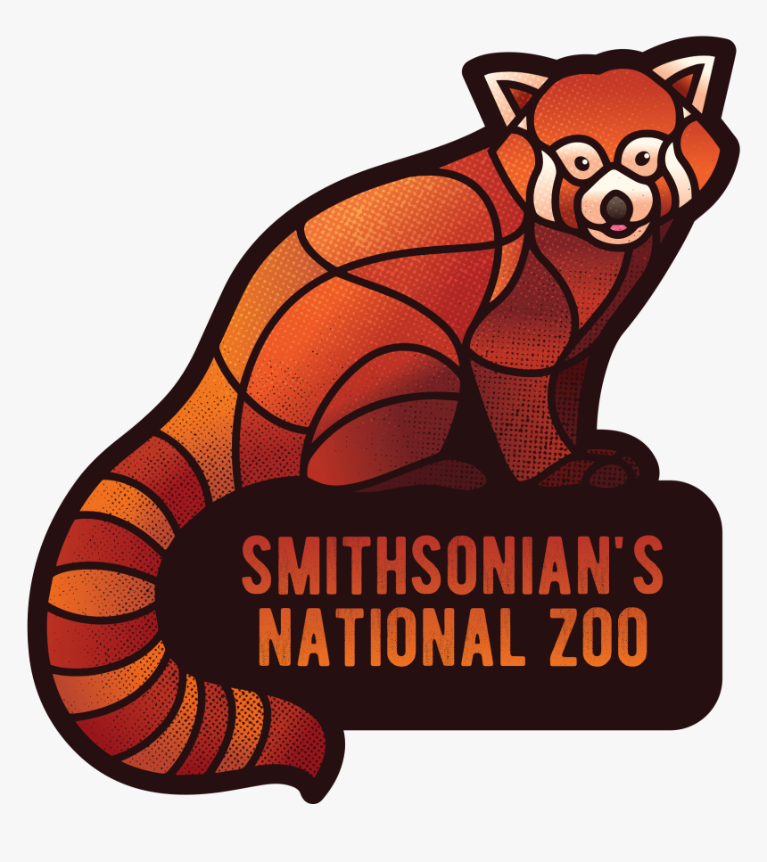 Red Panda 
 Class Lazyload Lazyload Mirage Featured - Illustration, HD Png Download