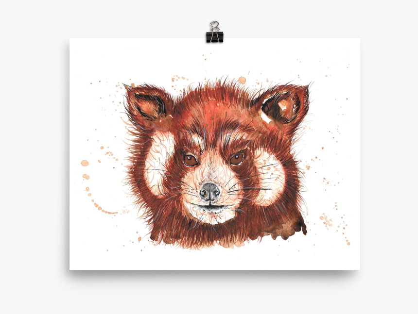 Image Of Red Panda - Red Fox, HD Png Download