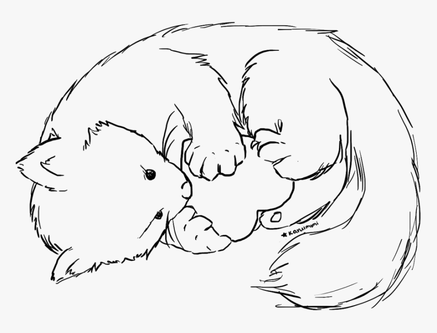 Panda Black And White Lineart - Line Art, HD Png Download