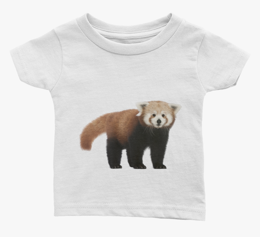 Red-panda Print Infant Tee - Fisher, HD Png Download