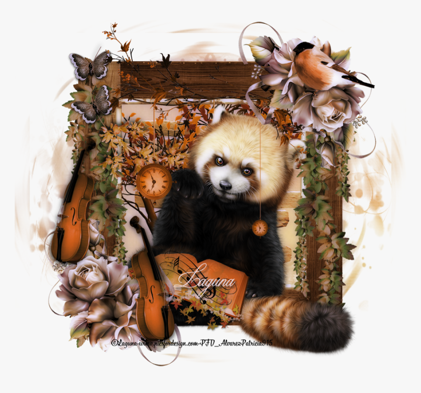 Red Panda, HD Png Download