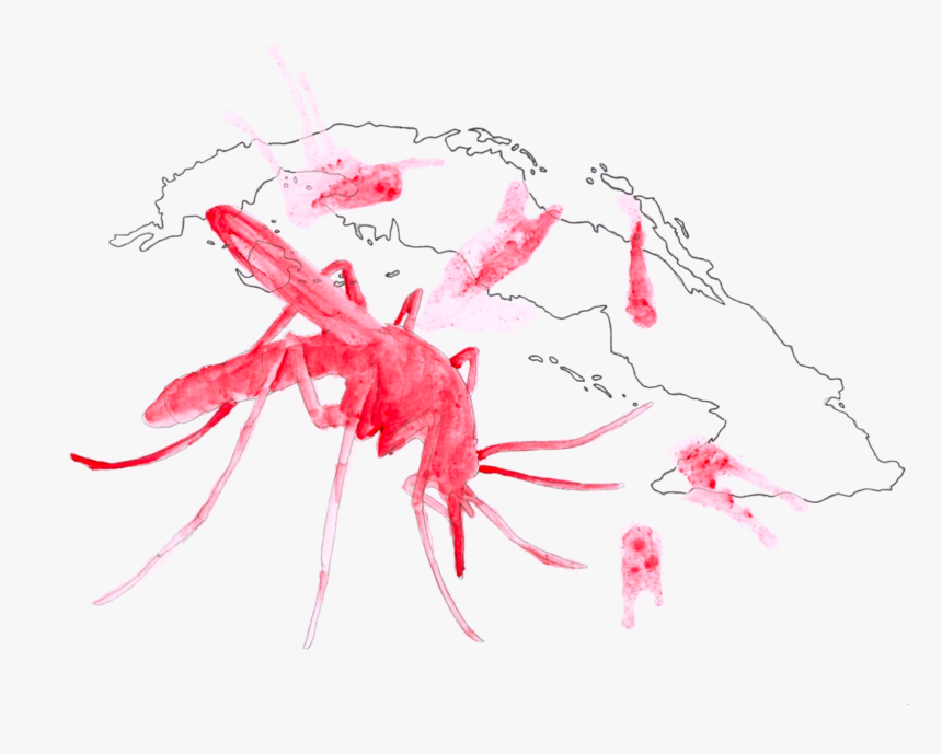 Sketch, HD Png Download