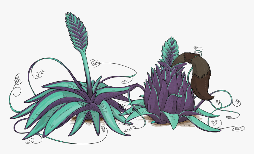 Bromeliad Swamp, HD Png Download