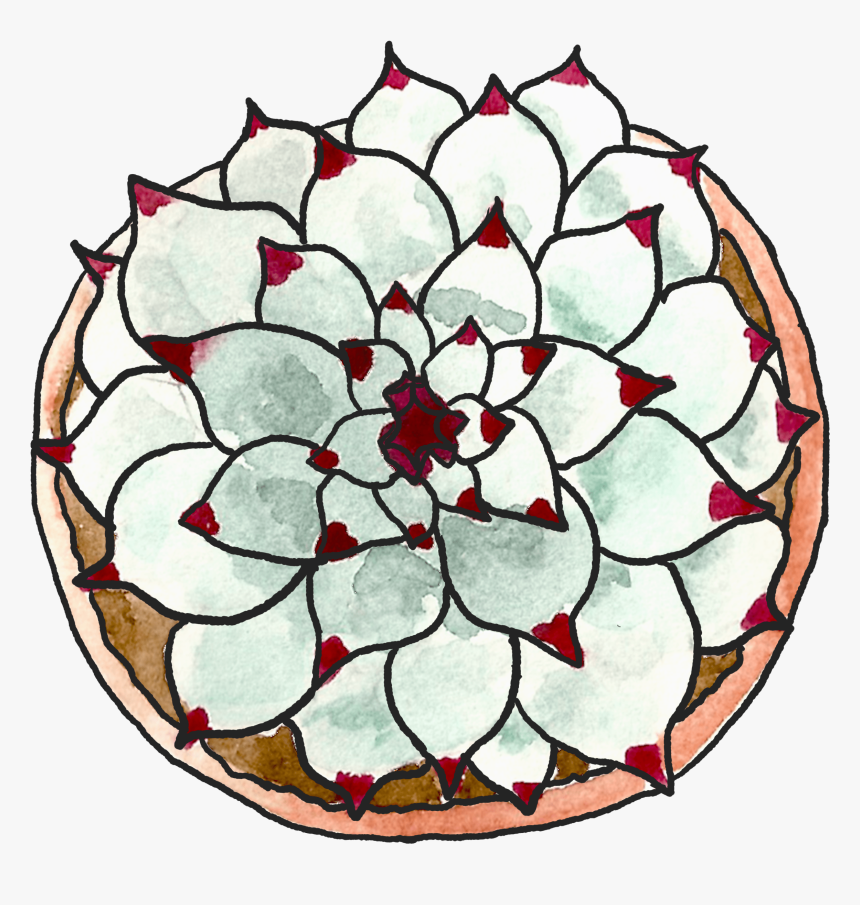 Circle, HD Png Download