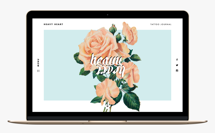 Garden Roses, HD Png Download