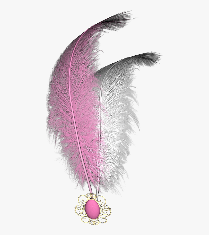 #mq #pink #white #feather #feathers, HD Png Download