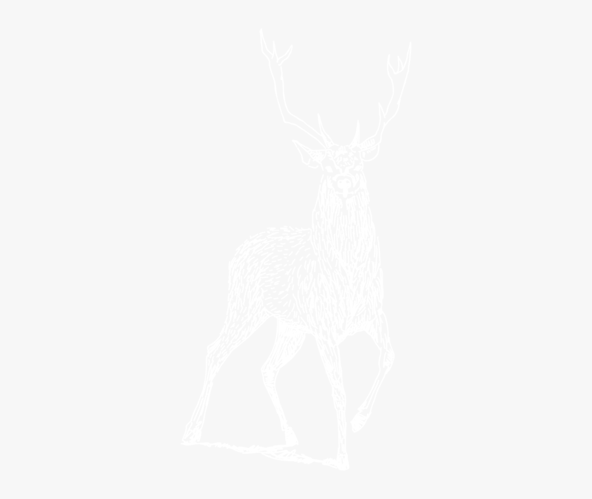 Nova Imagem - Johns Hopkins Logo White, HD Png Download