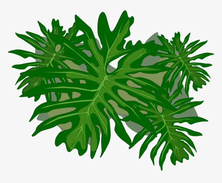 Plant Stem,tree,plant - Philodendron Png, Transparent Png