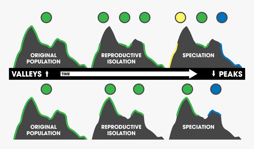 Topography-driven Isolation Peak&valley, HD Png Download