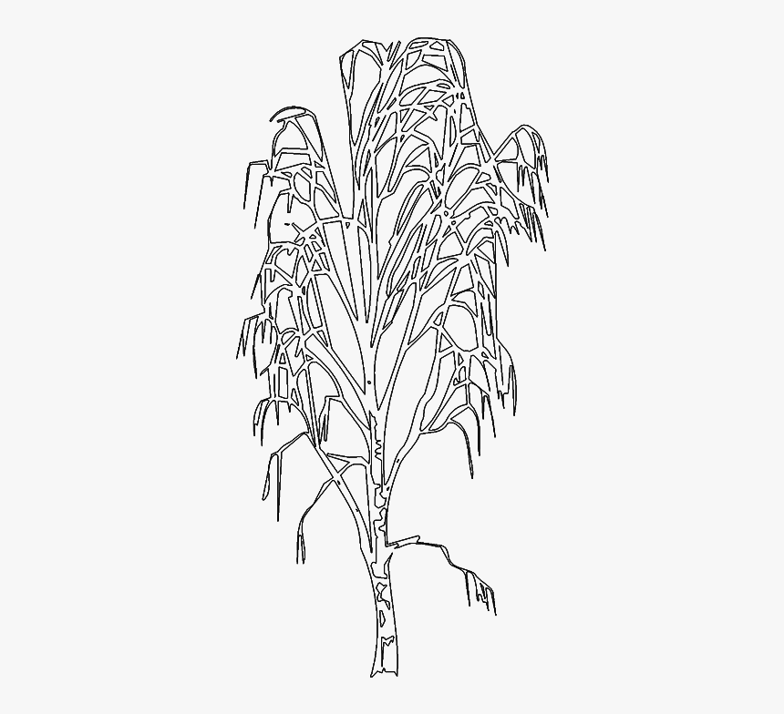 Tree 998 Elevation3d View 
 Class Mw 100 Mh 100 Pol - Line Art, HD Png Download