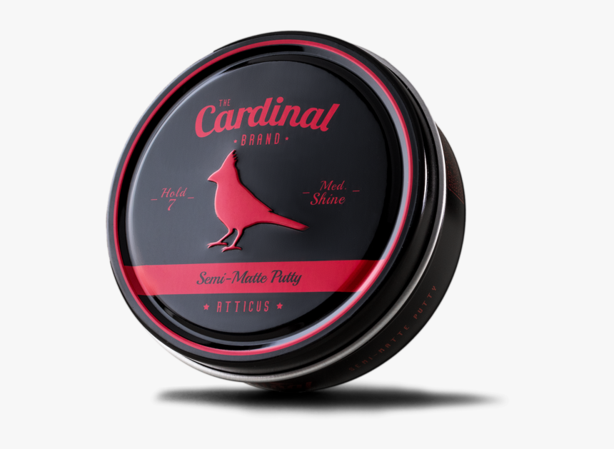 Transparent Sebastian Stan Png - Crow, Png Download