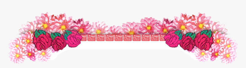 African Daisy, HD Png Download