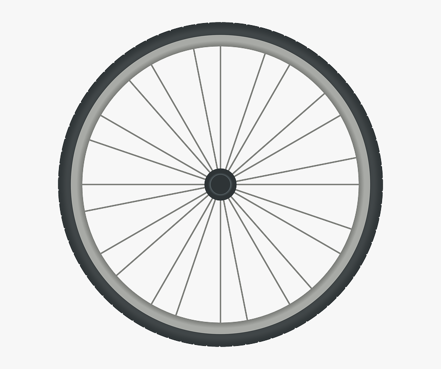 Everglades Alligator Farm, HD Png Download