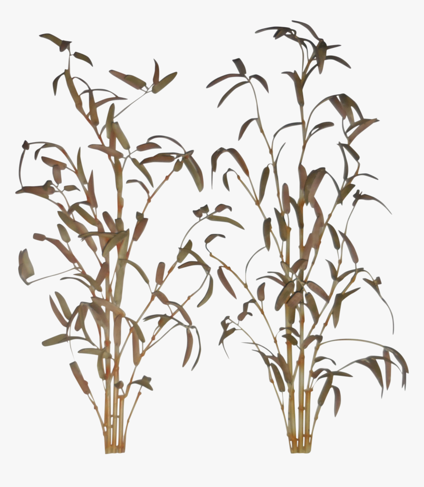 Transparent Bamboo Plant Png - Bamboo Wall Art Png, Png Download