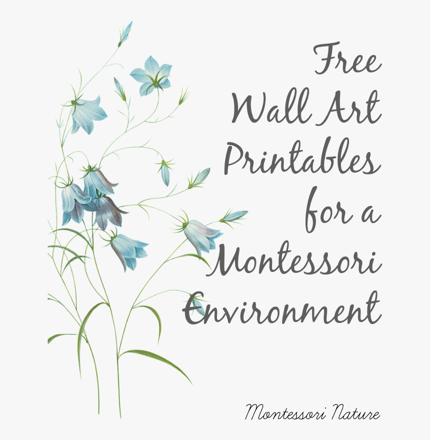 Montessori Classroom Wall Art, HD Png Download