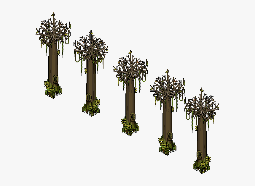 2018-2019 P4 - Tree, HD Png Download