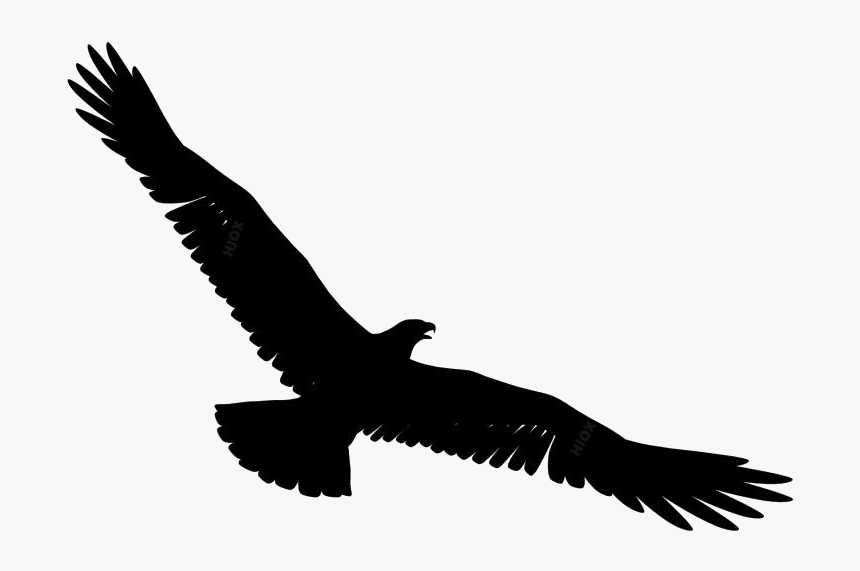 Eagle Spreading Its Wings Png Background Hd - Bird Flying Gif Transparent, Png Download