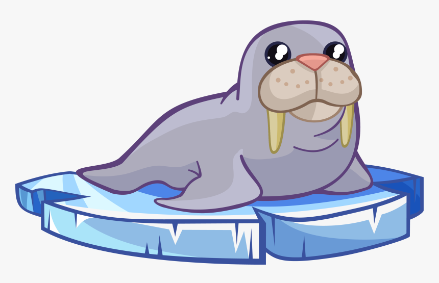 Walrus Free To Use Cliparts - Walrus Clipart, HD Png Download