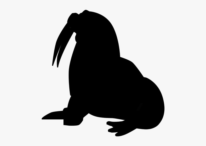 Walrus Png Image With Transparent Background - Illustration, Png Download