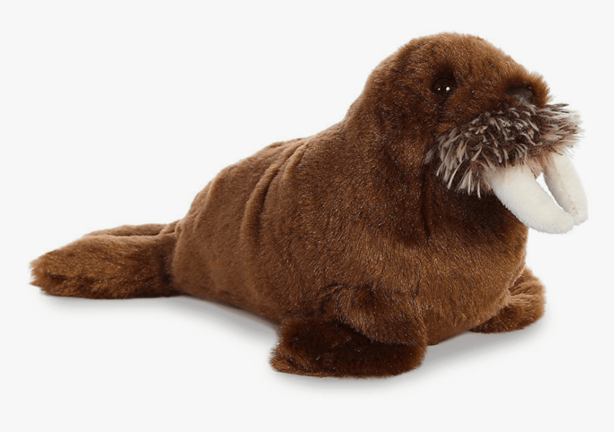 Walrus Png Free Download - Walrus Plush Png, Transparent Png