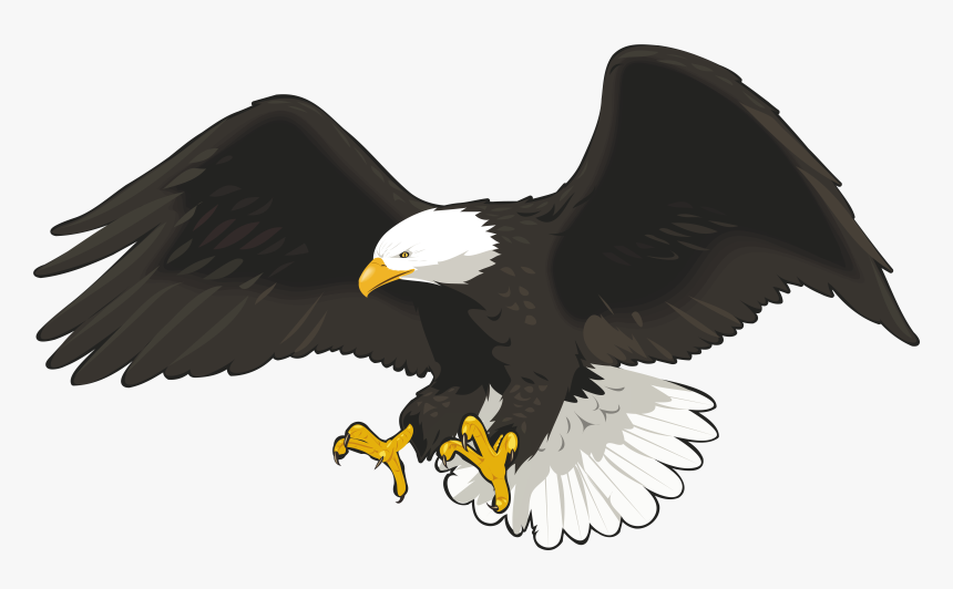 Eagle Clip Art Image Gallery High-quality Transparent, HD Png Download