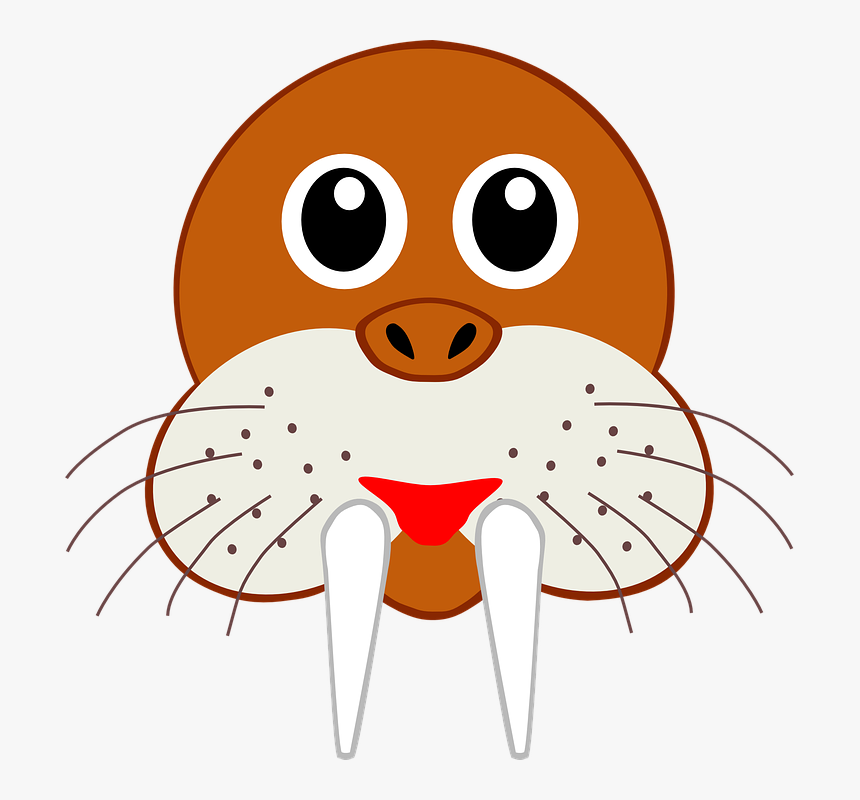 Walrus, Head, Face, Wild, Animal, Mammal, Sea, Water - Mascara De Una Morsa, HD Png Download