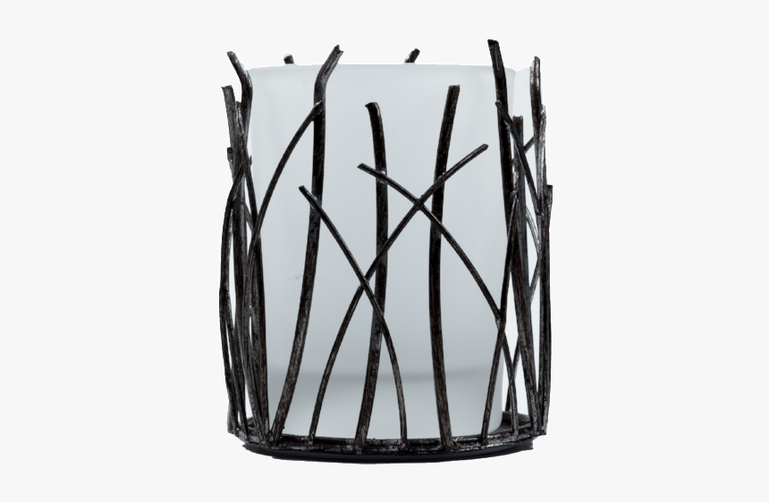 Twigs, Frosted Glass - Barbed Wire, HD Png Download