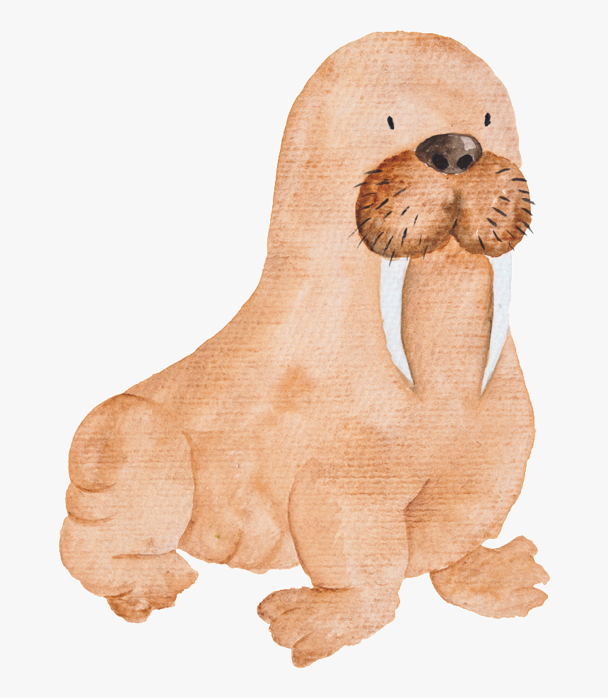 Brown Hand Painted Sea Elephant Cartoon Watercolor - 海獅 手繪, HD Png Download