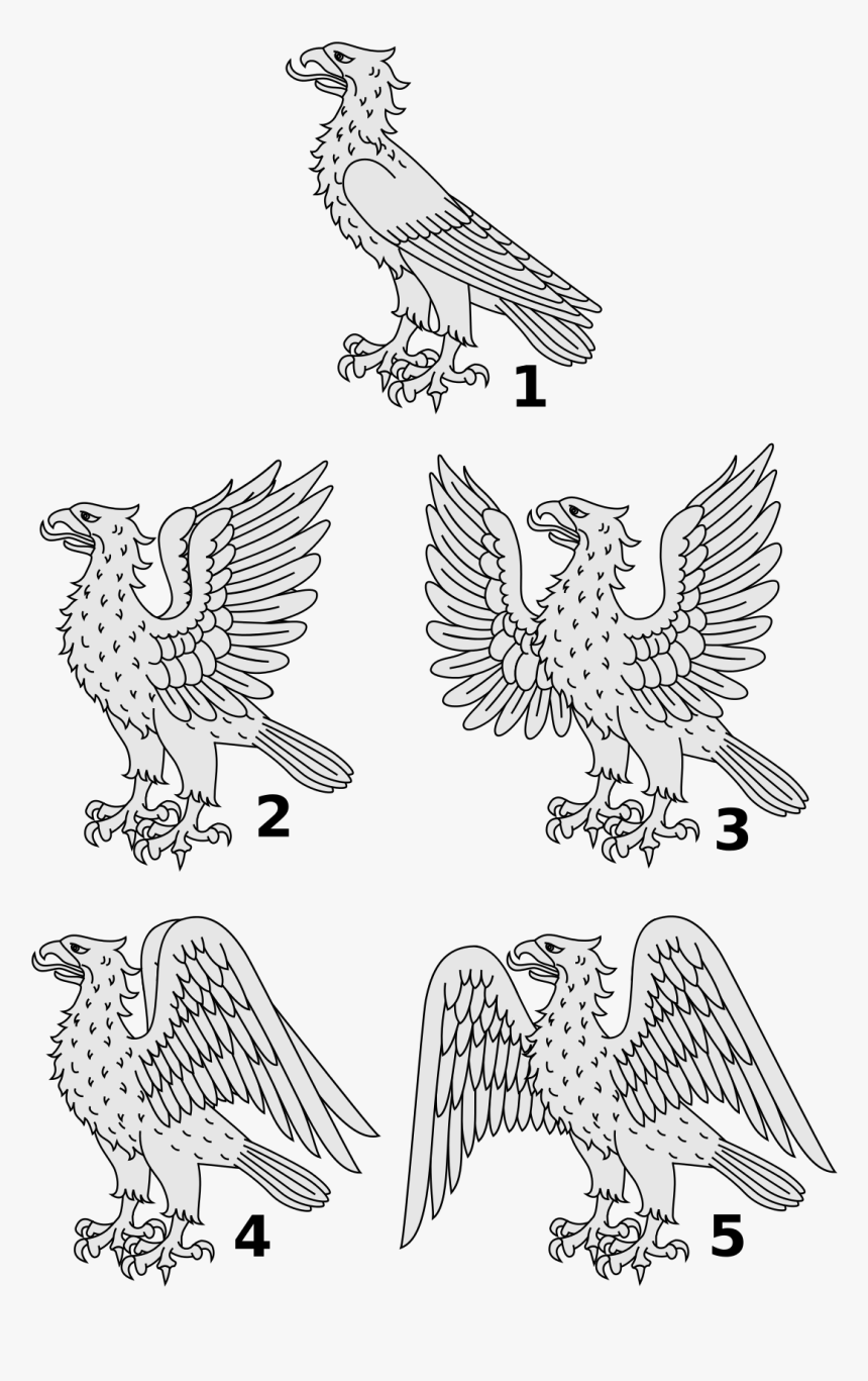 Eagle Addorsed And Inverted, HD Png Download