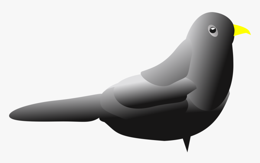 Flightless Bird,water Bird,walrus - Lovebird, HD Png Download