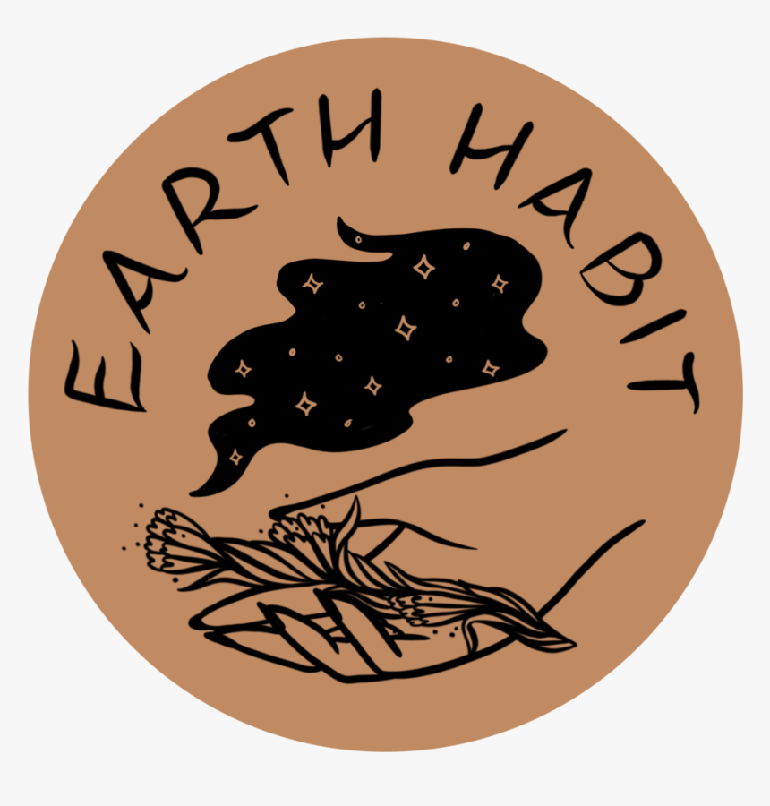 Twigs Copy - Illustration, HD Png Download