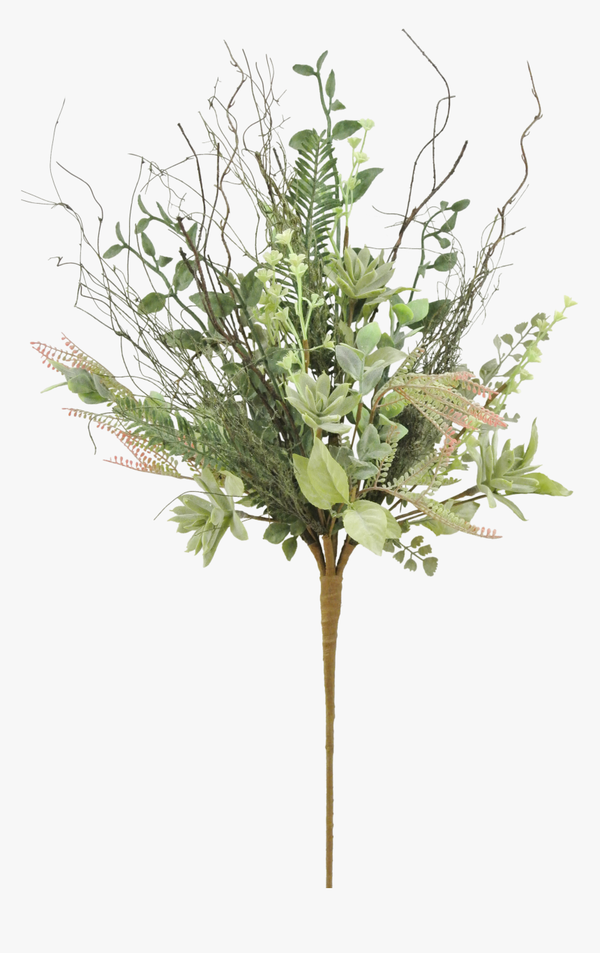 Pond Pine - Buttercup, HD Png Download