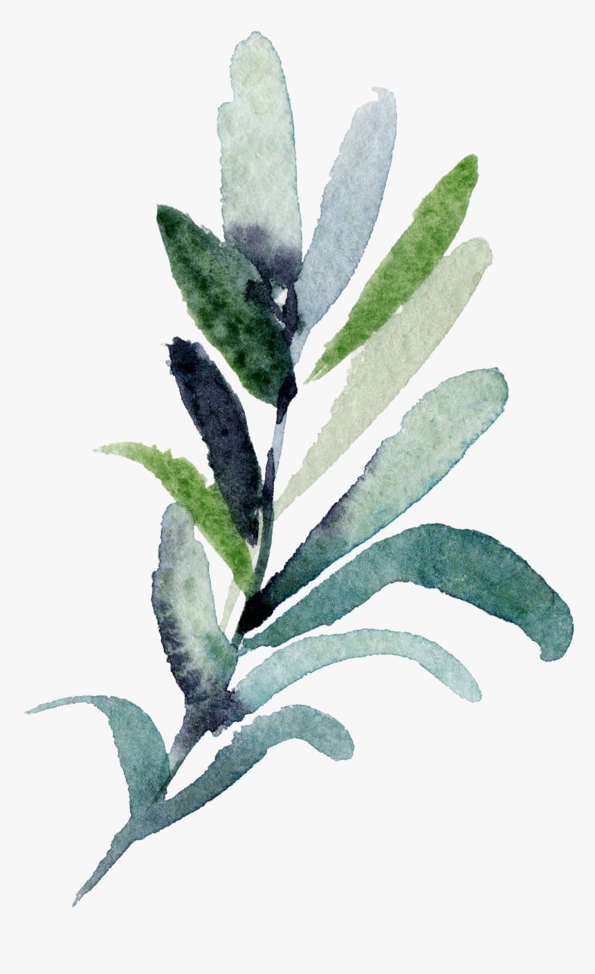 Twigs Png, Transparent Png