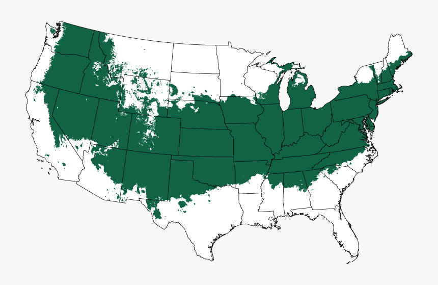 Castle Wall Png, Transparent Png