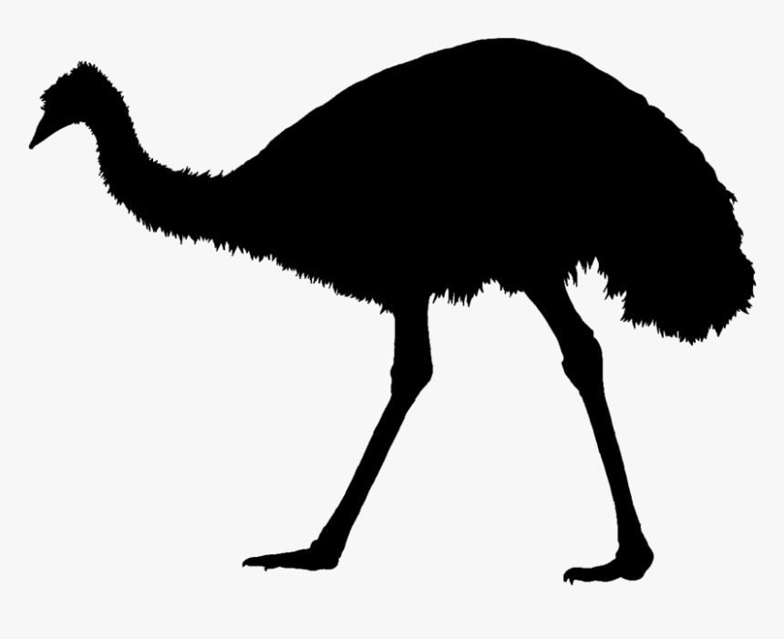 Common Ostrich Emu War Silhouette Bird - Transparent Emu Silhouette, HD Png Download