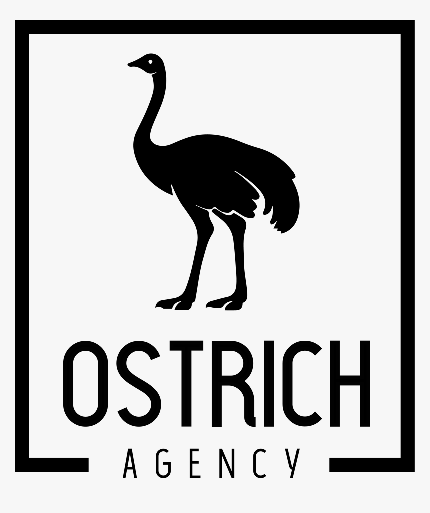 Ostrich Agency Flightless Bird Hd Png Download Transparent