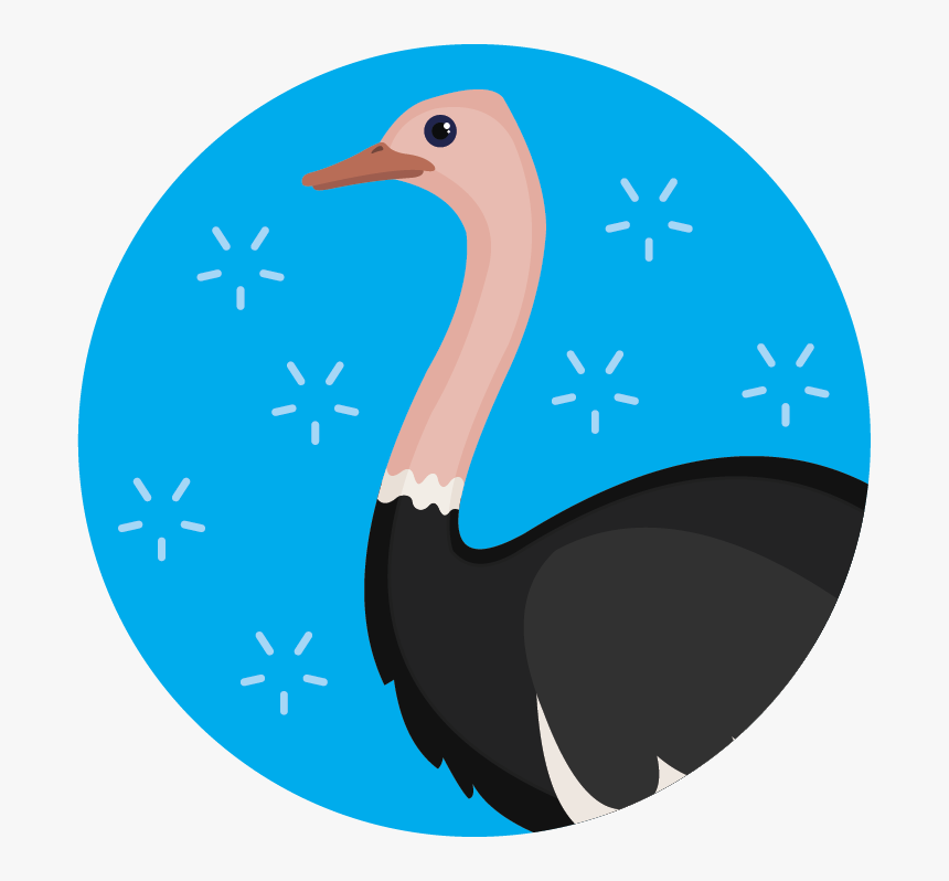 Flightless Bird, HD Png Download