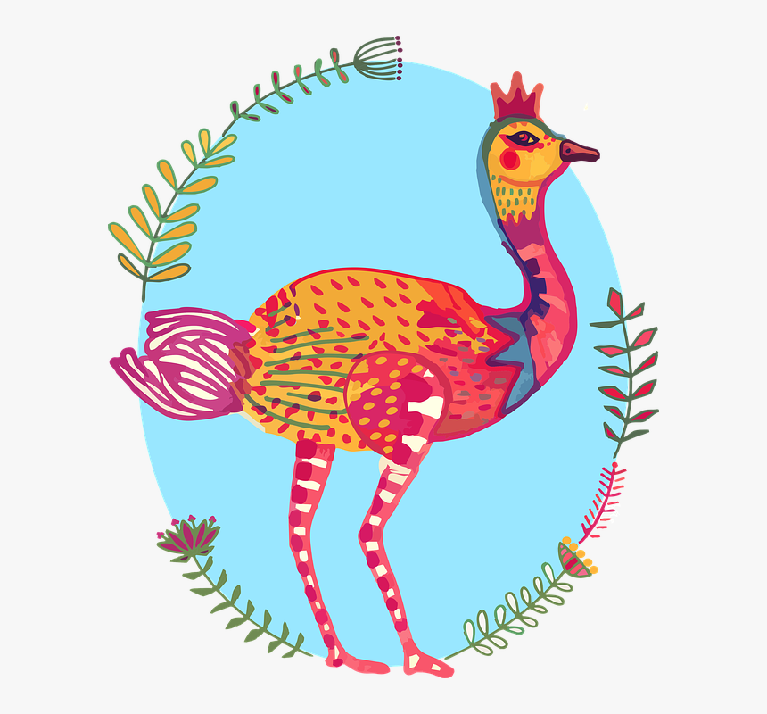 Ostrich, Bird, Colourful, South Africa - Cartoon, HD Png Download